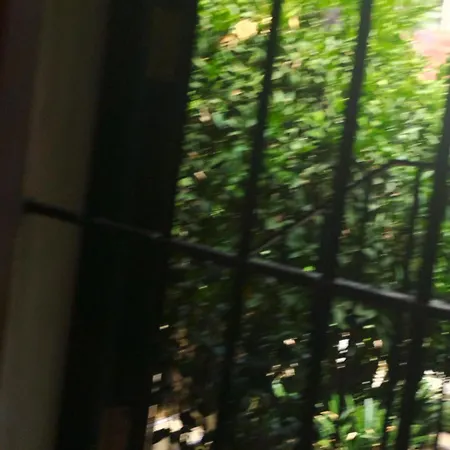 La Casa De Pepa Seville